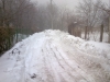 23022012619.jpg